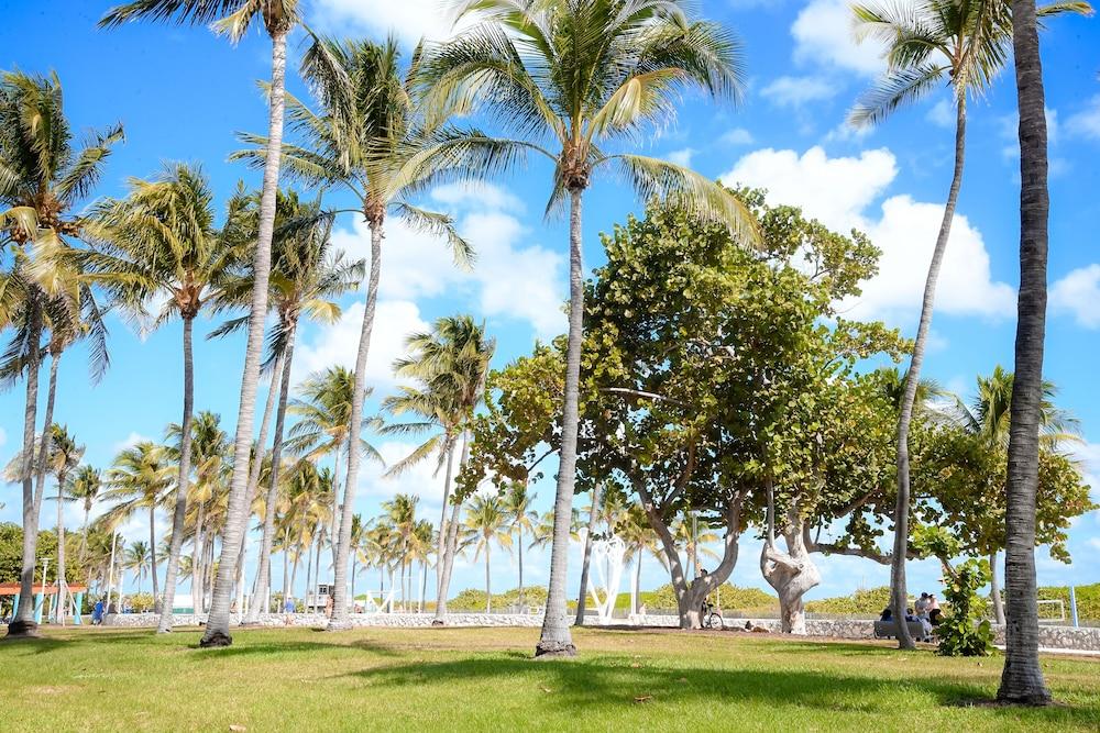 Ithaca Apart otel Miami Beach Dış mekan fotoğraf